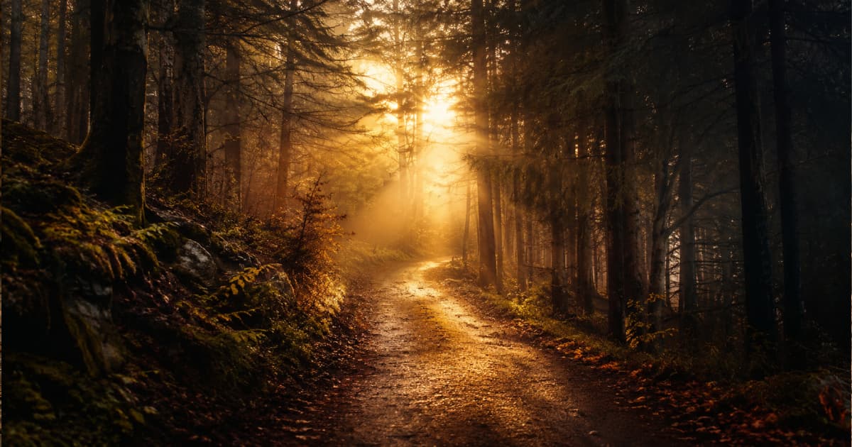 The Life Journey of Walking in the Light – Are you groping in the darkness, or following the True Light of life?